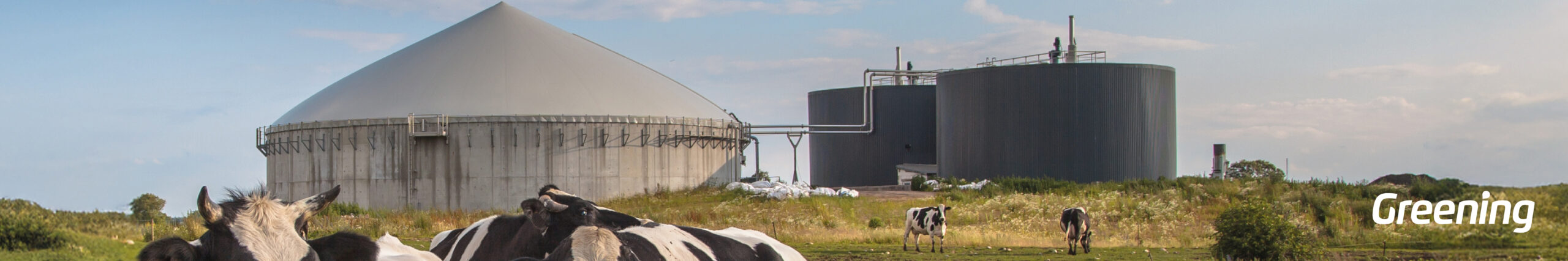 Vista panorámica de una planta de biogás con vacas pastando en primer plano, ejemplo de producción de energía renovable a partir de residuos en España.