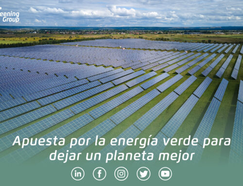 Apuesta por la energía verde para dejar un planeta mejor