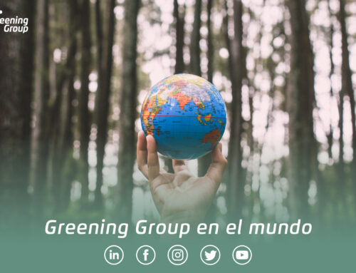 ¿Conoces en qué consiste la vocación global de Greening Group?