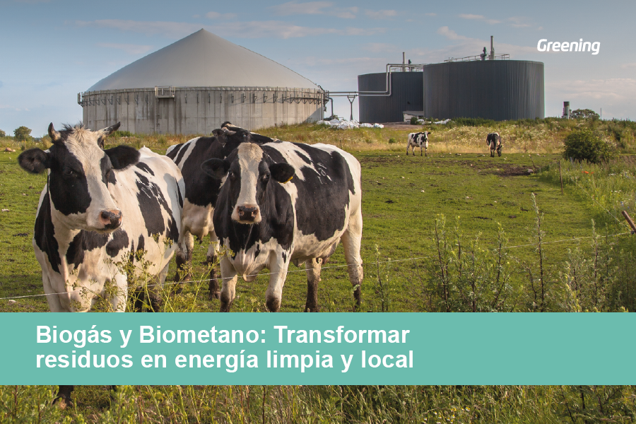 Planta de biogás en España con vacas en primer plano, ejemplo de aprovechamiento de residuos ganaderos para producir energía limpia.