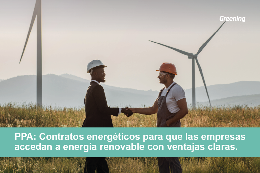 Dos profesionales estrechando la mano frente a aerogeneradores, simbolizando un acuerdo PPA de energía renovable para empresas.