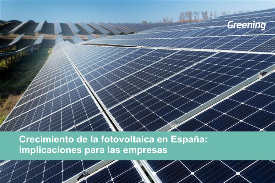 Paneles solares a gran escala utilizados como imagen de portada del blog sobre el crecimiento de la fotovoltaica en España.
