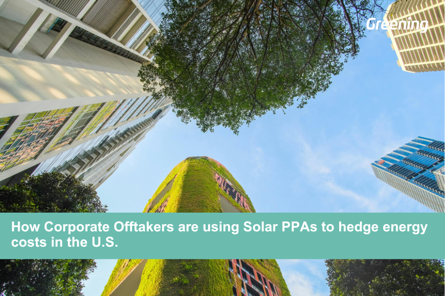 How Corporate Offtakers are using Solar PPAs to hedge energy costs in the U.S.