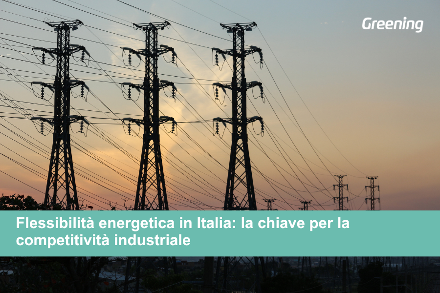 Rete elettrica in Italia con infrastrutture di trasmissione come esempio di flessibilità energetica e gestione del sistema elettrico