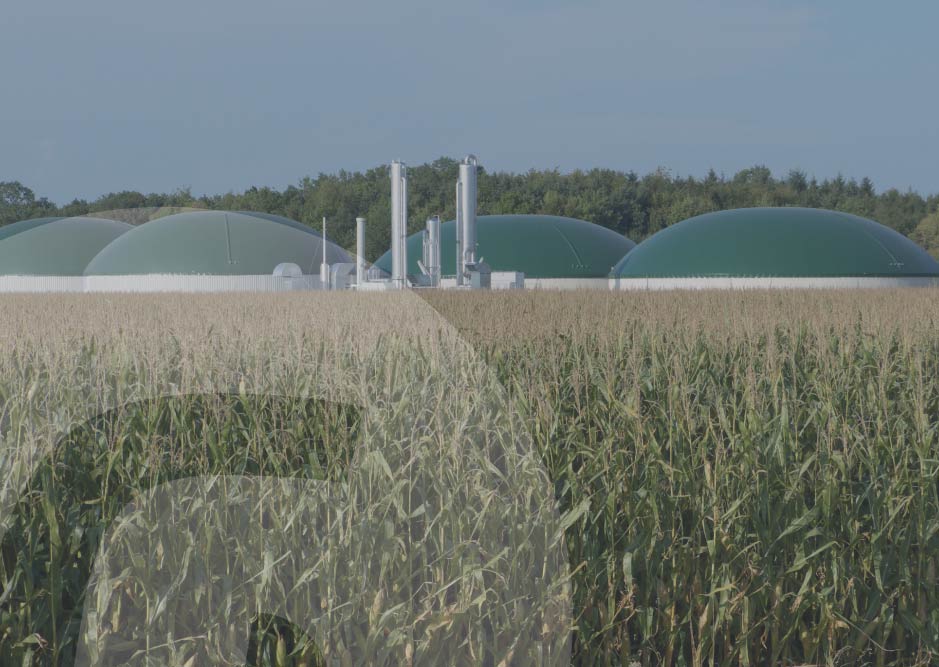 Planta de biometano en Palacios de Goda para la valorización de residuos agroganaderos y producción de energía renovable