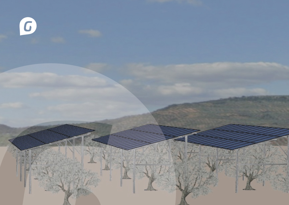Proyecto de agrivoltaica de Greening que integra energía solar y cultivo de olivar para impulsar una producción agrícola más sostenible.
